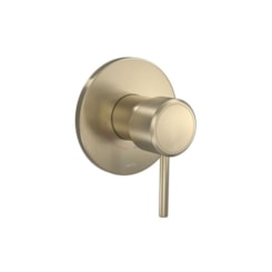 Acabamento Monocomando Para Chuveiro Redondo You Summer Gold Matte Deca