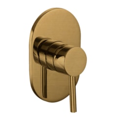 Acabamento Para Misturador Ducha Higiênica Base Deca Dourado Escovado Kromma