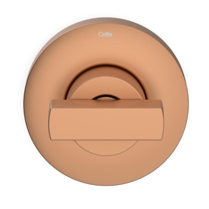 Acabamento para Registro de Gaveta e Pressão Base Deca 1/2 3/4 1 Flow Rose Gold Matte Celite
