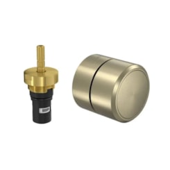 Acabamento Para Registro de Pressão 1/2 e 3/4 Redondo You Summer Gold Deca