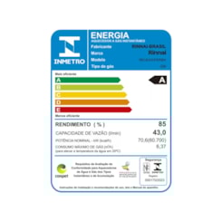 Aquecedor A Gás Digital E430 43L Bivolt Branco Rinnai