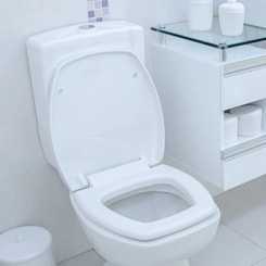 Assento Sanitário com Soft Close Thema Branco Astra