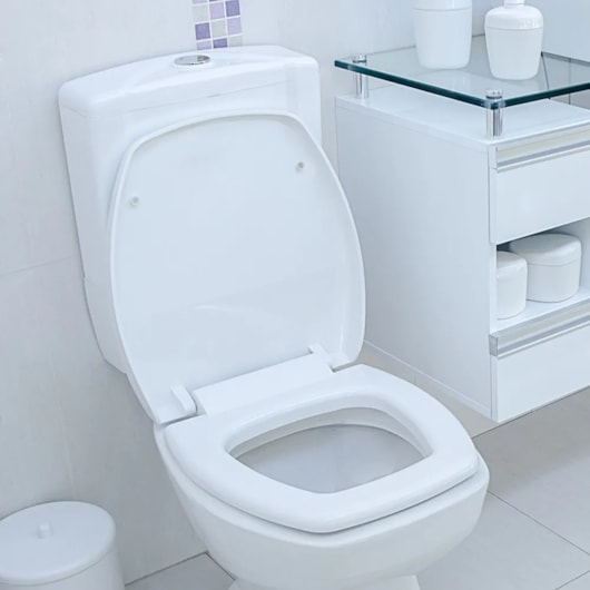 Assento Sanitário com Soft Close Thema Branco Astra - Imagem principal - c32833f4-ac13-42c6-b260-778acca6227b