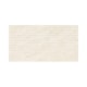 Azulejo Eliane Mahal Edro Marfim Acetinado 32x60m Retificado - 50d775b5-ecb2-4988-8c70-800d0273deca