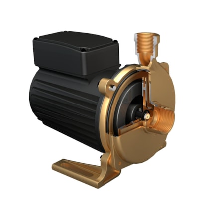 Bomba Centrifuga Evvolution Evvo Bronze 120 3/4CV 220V Komeco