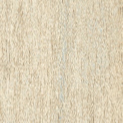 Borda Mini Gili Be Hard 1,3x15cm Bold