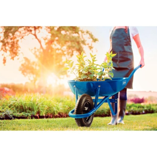 Carrinho De Mão Com Casamba Rasa Azul 50L Tramontina - Imagem principal - 3ad61694-7028-4fb3-85bd-1f76b041bd1b