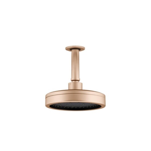 Chuveiro Articulado De Teto Metal  Plus 501 10cm 3200 1/2 Champagne Fani - Imagem principal - 74311313-e490-41ec-983e-d99ff3120025
