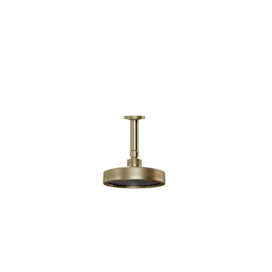 Chuveiro Articulado De Teto Metal  Plus 501 10cm 3200 1/2 Ouro Velho Fani - Imagem principal - 01fb5bad-1a55-4664-bf33-1c9e1da0dff5