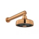 Chuveiro De Parede Redondo Acqua Plus Com Tubo Reto Gold Red Deca - 747873fe-159c-4d95-91d2-1eef54dcb3c4