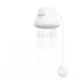 Ducha De Banho Master Eletrônica Branco Zagonel 7500W 220V - ddbd2157-fb48-4f13-aa6e-98aee9a82283