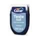 Escolha Cor Teste Facil Fosco Azul Dos Andes 30ml Coral - a4221e0e-7e90-47ee-ab7f-b395da3172c2