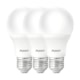 Kit Com 3 Lampadas LED Bulbo Pera 15W Luz Branca 6500K Base E27 Bivolt Avant - 0b9951cd-57d5-4807-a534-5aeaaf290e25