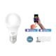 Lâmpada Inteligente LED Smart Wi-Fi Bulbo Pera NEO 10W Luz Dimerizável Amarela-Branca Base E27 Bivolt Avant - 16304144-e9d3-4c05-901f-fc5e45d785b5