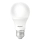 Lampada LED Bulbo Pera 4,8W Luz Branca 6500K Base E27 Bivolt Avant - 02e02dfc-5b6a-4086-8f73-3c6539206581