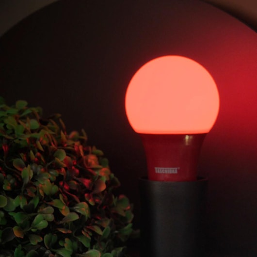 Lâmpada Led Tkl Colors Vermelha Taschibra - Imagem principal - 682e4782-126c-42a8-a4ce-90af52b03adc
