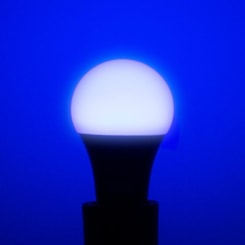 Lâmpada Led Tkl E27 Luz Negra Taschibra 7W