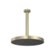 Loes Chuveiro Redondo De Teto Flex Max Summer Gold Deca - 37baf3d2-3875-430c-9fea-75b8e932268d
