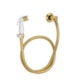 Loes Ducha Manual Sem Registro Activa Gold Deca - e9eb17af-7d38-43a6-89a8-f8e21429a9b2