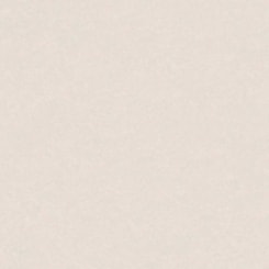 Porcelanato Biancogres Cemento Marfim Satin Acetinado 60x60cm Retificado