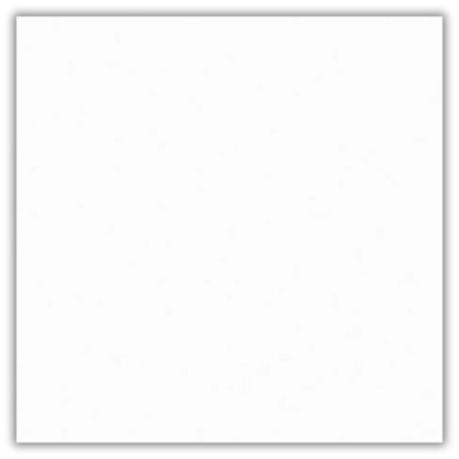 Porcelanato Ceusa Branco Acetinado 80x80cm Retificado