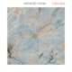 Porcelanato Ceusa Galaxya Og Natural 100x100cm Retificado - 7a35460d-6b91-4cf9-bbf5-b1280fca7098
