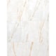 Porcelanato Ceusa Golden Fantasy Wh Natural 120x120cm Retificado  - ccb0cf49-828c-41eb-ad85-23e77ade28fa