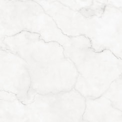 Porcelanato Damme Maestro Branco Polido 82x82cm Retificado