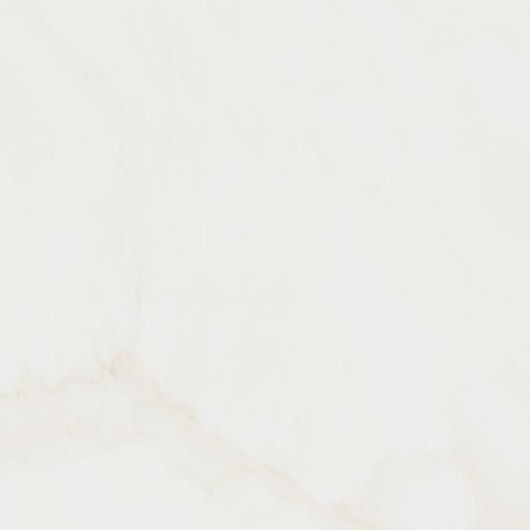 Porcelanato Eliane Cassini Brut Polido 60x120cm Retificado - Imagem principal - d4a21b73-66d8-48f1-aad7-240505cc5cc5