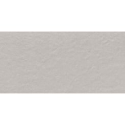 Porcelanato Eliane FGMF Silica Gris Ma 60x120cm Retificado 