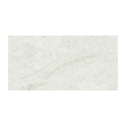 Porcelanato Eliane Mahal Cristal Polido 30x60cm Retificado - Imagem principal - 73c1e669-64f0-49b1-8371-4869bfeedab8