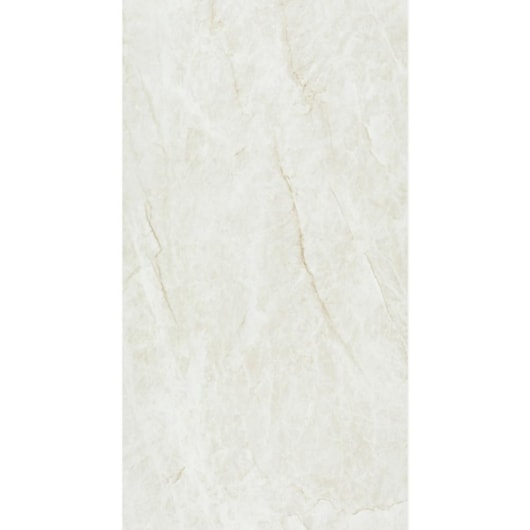 Porcelanato Eliane Mahal Cristal Polido 60x120cm Retificado - Imagem principal - 22c0aeb1-feea-43f9-92ca-77cc8ad02235