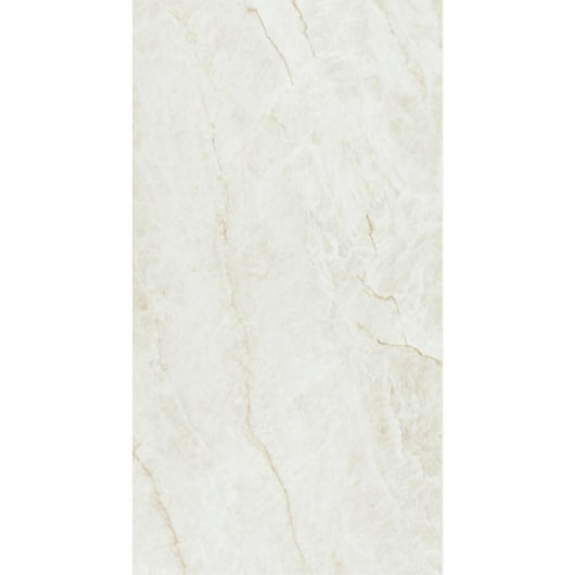 Porcelanato Eliane Mahal Cristal Polido 60x120cm Retificado - Imagem principal - ee7e9282-70c6-4e58-9aaa-1b5c2e0373b2