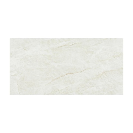 Porcelanato Eliane Mahal Cristal Polido 60x120cm Retificado - Imagem principal - 2f5e930f-0708-4336-a64a-4b3c2b3e589b