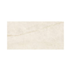 Porcelanato Eliane Mahal Marfim Acetinado 30x60cm Retificado