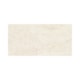 Porcelanato Eliane Mahal Marfim Polido 30x60cm Retificado - 2fc5c5e4-77f3-4974-8eb6-1708b220fc70