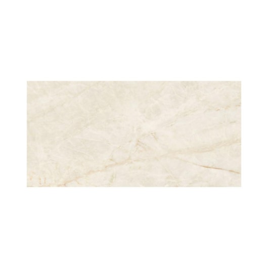 Porcelanato Eliane Mahal Marfim Polido 30x60cm Retificado - Imagem principal - 60164d99-50cd-49e2-85cf-3232b699507b