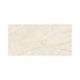Porcelanato Eliane Mahal Marfim Polido 30x60cm Retificado - 96ccfb99-5690-4b65-b451-46355c79d4f4
