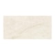 Porcelanato Eliane Mahal Marfim Polido 30x60cm Retificado - 9074b0f8-386b-46c7-98e0-2d53978bda07