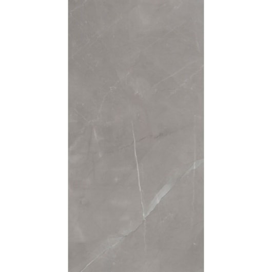 Porcelanato Eliane Pulpis Gray Acetinado 60x120cm Retificado  - Imagem principal - 2ea20682-e756-4797-949d-e27b86d4a5c1