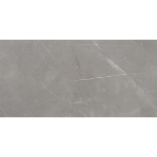 Porcelanato Eliane Pulpis Gray Polido Cinza 60x120cm Retificado  - Imagem principal - 6a473b5d-7e9e-4ded-96ef-55fcdae0cc6a