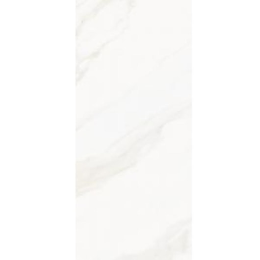 Porcelanato Eliane Venus Alpe Polido 60x120cm Retificado - Imagem principal - 9d6eff2d-a670-4188-aae4-a7a0cd11c004