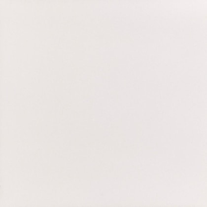 Porcelanato Elizabeth Bianco Master Tecn Polido 60x60cm Retificado