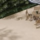Porcelanato Incesa Pietra Naturale Externo 60x60cm Retificado - 941cc3fb-081d-4ea0-a6ff-cf135382c235