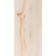 Porcelanato Portinari Duomo Opala Polido 58,4x117cm Retificado - 10cb05fe-1f4f-476d-99a9-40ce8828e68f