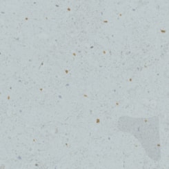 Porcelanato Portinari Maracangalha Decor Bl Natural 9,95x9,95cm Bold