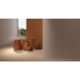 Porcelanato Portinari Maracangalha Sbe Natural 100x100cm Retificado - 252cba05-4e44-4e6b-8519-0850c1fe80b6