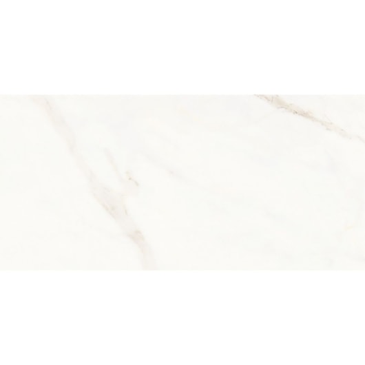 Porcelanato Portinari Opera Covelano Natural 58,4x117cm Retificado - Imagem principal - 30acd98a-7193-43bd-aca3-a692936284d0