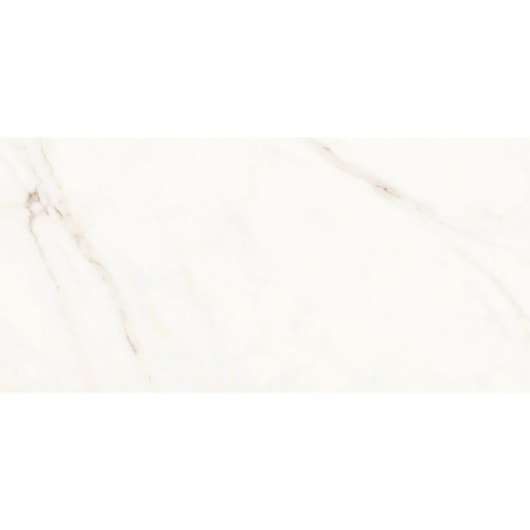 Porcelanato Portinari Opera Covelano Natural 58,4x117cm Retificado - Imagem principal - 1f09edad-e874-4361-8747-133747211cfa