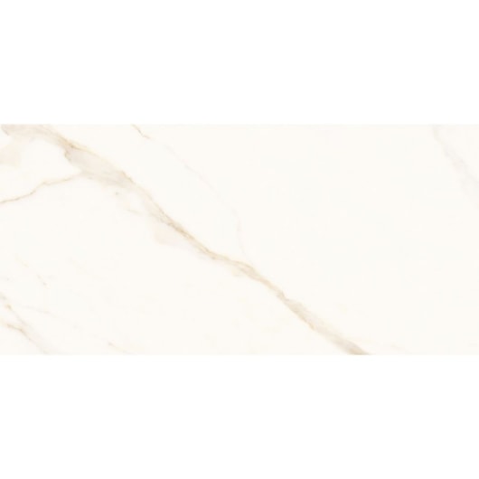 Porcelanato Portinari Opera Covelano Natural 58,4x117cm Retificado - Imagem principal - 4843b9a0-31fa-4052-bc30-8ca6943ffe11